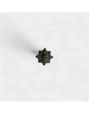 Pin's aimanté Ex-voto