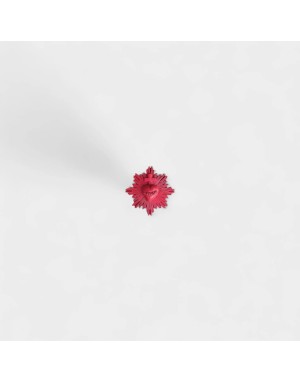 Pin's aimanté Ex-voto

Couleur : Rouge