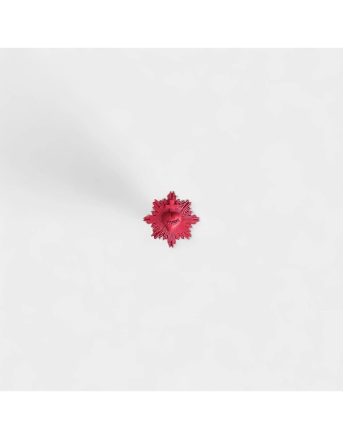 Pin's aimanté Ex-voto

Couleur : Rouge